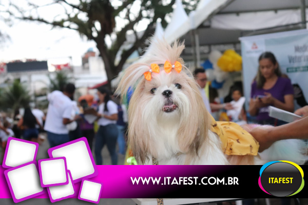 Álbum do evento ExpoPet