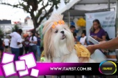 imagem 67. Evento: 