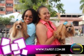 imagem 107. Evento: 