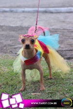 imagem 116. Evento: 