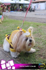 imagem 117. Evento: 