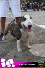 imagem 121. Evento: 