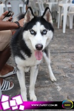 imagem 122. Evento: 