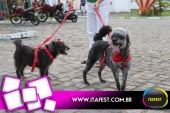 imagem 124. Evento: 