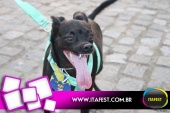 imagem 125. Evento: 