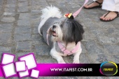 imagem 126. Evento: 