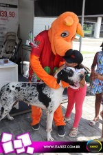 imagem 39. Evento: 