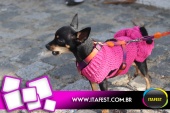 imagem 44. Evento: 
