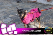imagem 45. Evento: 