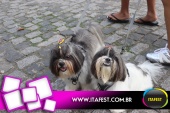 imagem 62. Evento: 