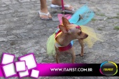 imagem 78. Evento: 