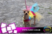 imagem 80. Evento: 