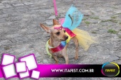 imagem 81. Evento: 