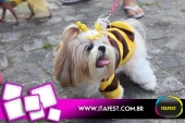 imagem 82. Evento: 