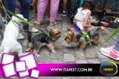 imagem 13. Evento: 