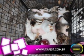 imagem 16. Evento: 
