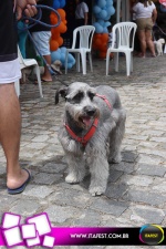 imagem 23. Evento: 