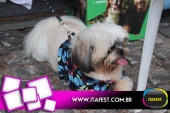 imagem 24. Evento: 