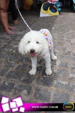 imagem 26. Evento: 