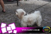 imagem 28. Evento: 