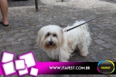 imagem 29. Evento: 