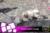 imagem 32. Evento: 