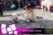 imagem 33. Evento: 