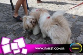 imagem 34. Evento: 