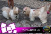 imagem 35. Evento: 