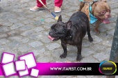 imagem 39. Evento: 