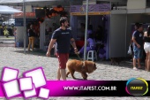 imagem 47. Evento: 
