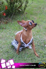 imagem 64. Evento: 