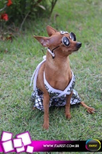 imagem 65. Evento: 