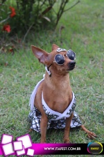 imagem 66. Evento: 