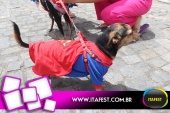 imagem 8. Evento: 